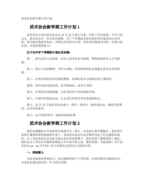 武术协会新学期工作计划
