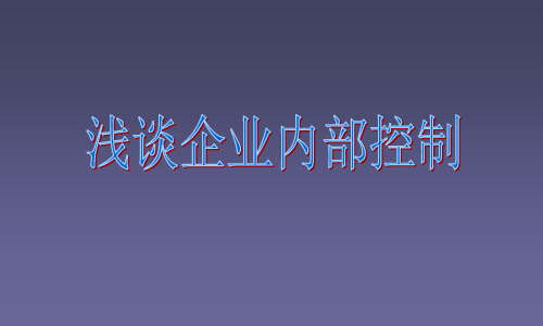 企业内部控制案例(ppt 61页)