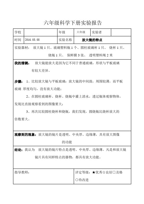 教科版六年级科学下册实验报告单(全)