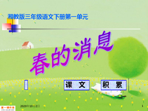 春的消息 PPT(湘教版)PPT课件