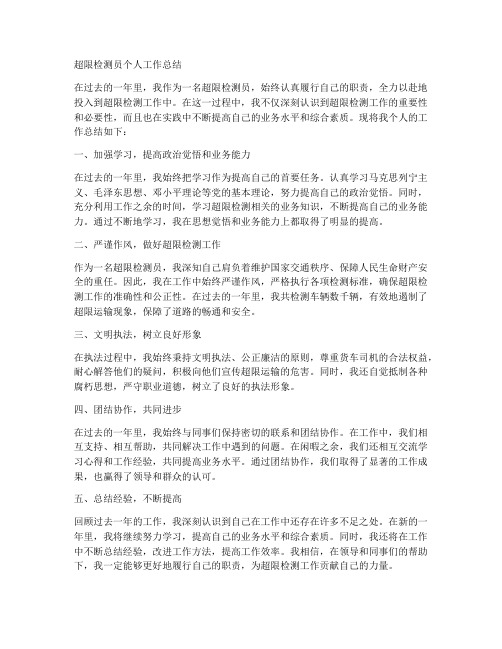 超限战检测员个人工作总结