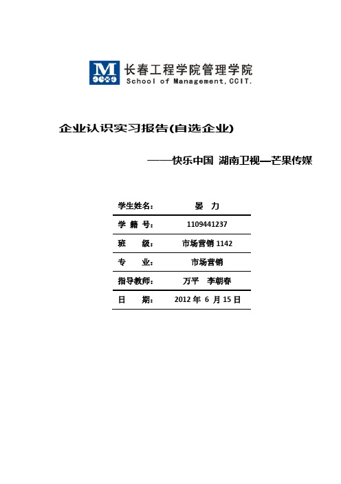 企业认识实习报告(自选企业)——湖南卫视研究