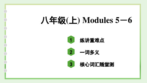 中考英语外研版知识点分册总复习八年级(上) Modules 5-6