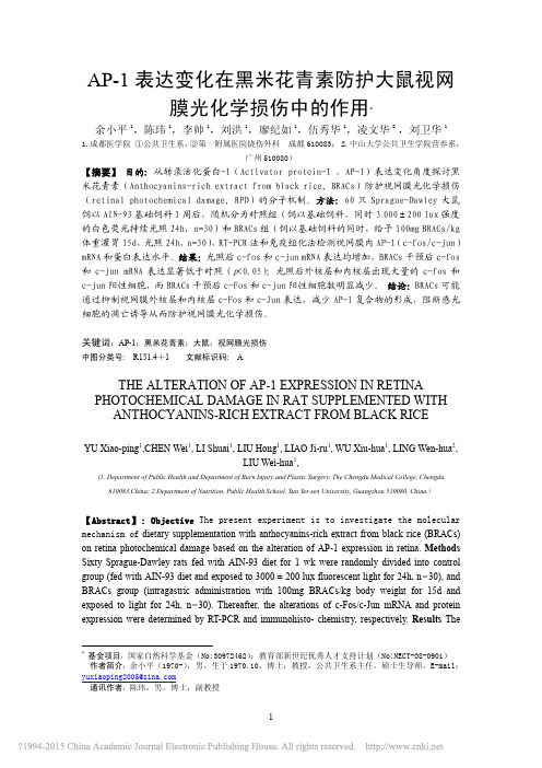 AP_1表达变化在黑米花青素防护大鼠视网膜光化学损伤中的作用_余小平