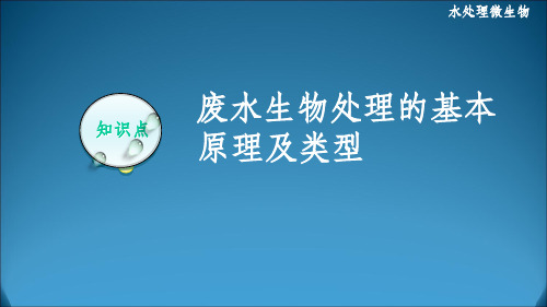 废水生物处理的基本原理及类型ppt课件