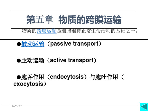 5第五章 物质的跨膜运输 ppt课件