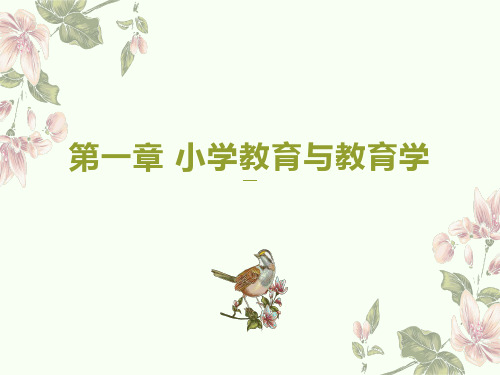 《小学教育学》第一章 小学教育与教育学ppt