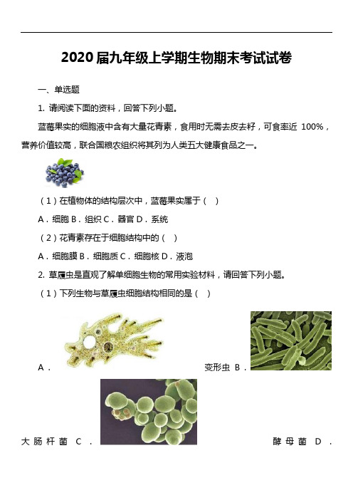 2020届九年级上学期生物期末考试试卷第4套真题)