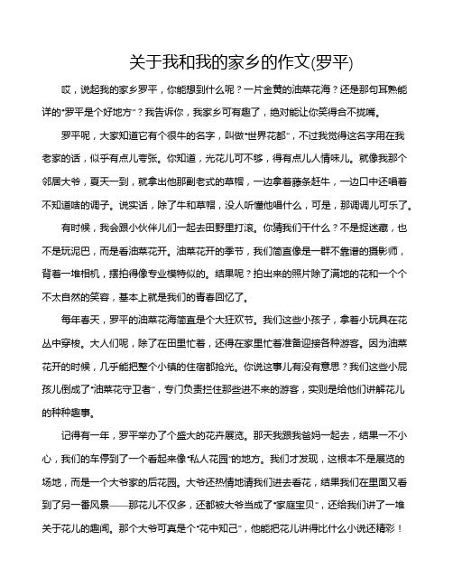 关于我和我的家乡的作文(罗平)