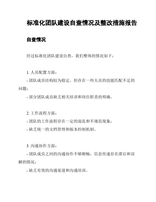 标准化团队建设自查情况及整改措施报告