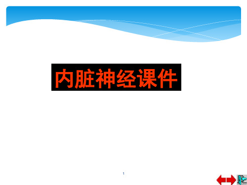 神经系统解剖之内脏神经