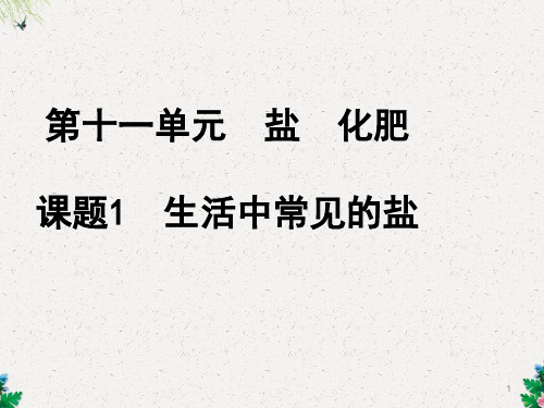 【人教版】九年级化学下册：第11单元 课题1 生活中常见的盐课件 (1)(共34张PPT)