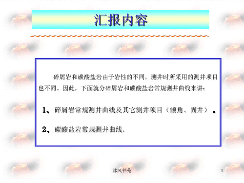 常规测井曲线说明应用材料