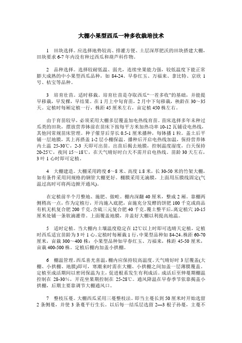 大棚小果型西瓜一种多收栽培技术