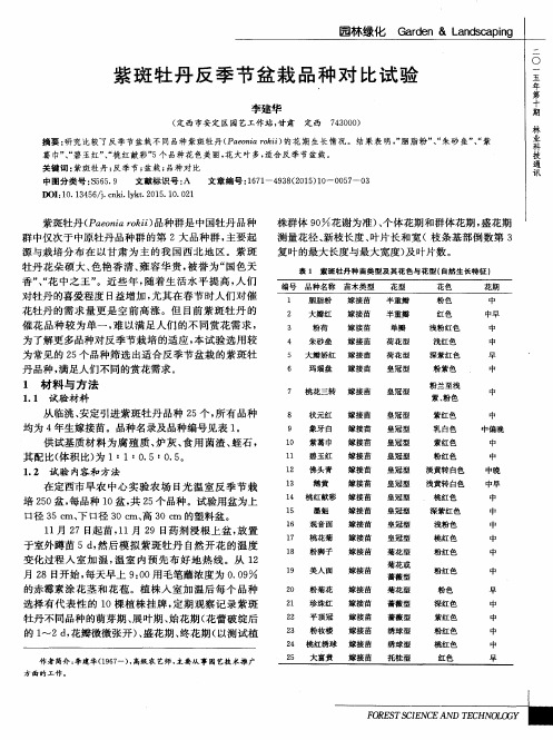 紫斑牡丹反季节盆栽品种对比试验