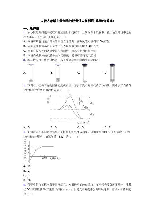 人教人教版生物细胞的能量供应和利用 单元(含答案)