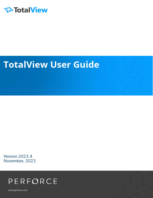 TotalView 用户指南说明书
