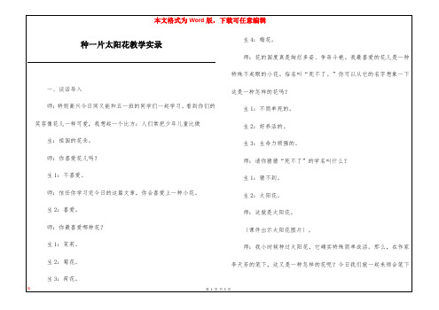 种一片太阳花教学实录