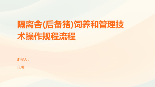 隔离舍(后备猪)饲养和管理技术操作规程流程