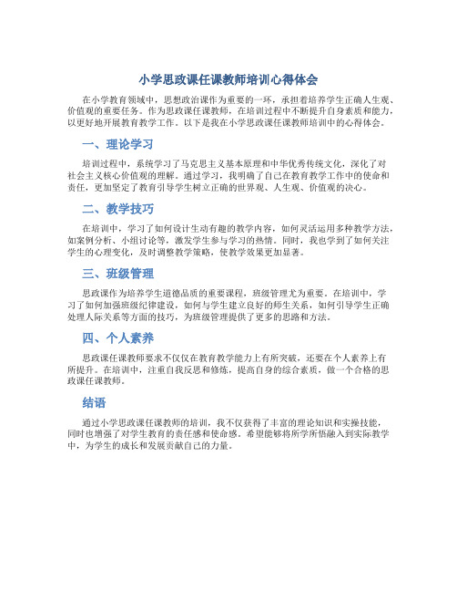 小学思政课任课教师培训心得体会