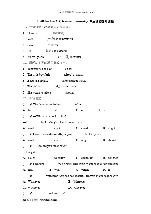 人教版英语九年级全册Unit8 Section A(Grammar Focus-4c)课后巩固提升训