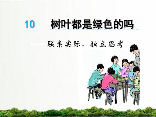 【精品】语文s版四年级小学语文上册课件：10树叶都是绿色的吗(1)