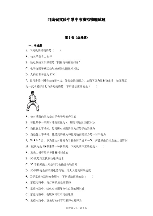 河南省实验中学中考模拟物理试题