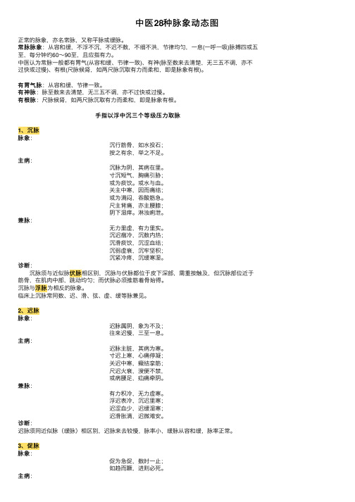 中医28种脉象动态图