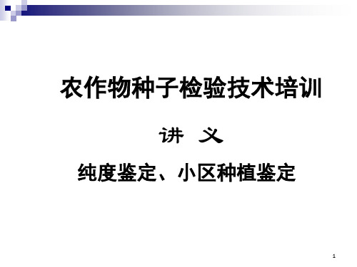 纯度鉴定小区种植鉴定彭