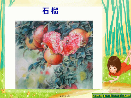 16石榴第二课时(完美版)