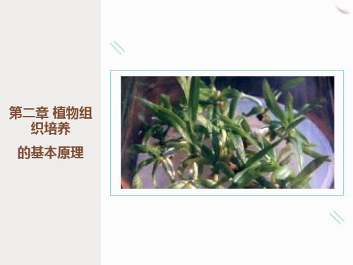 植物组织培养原理