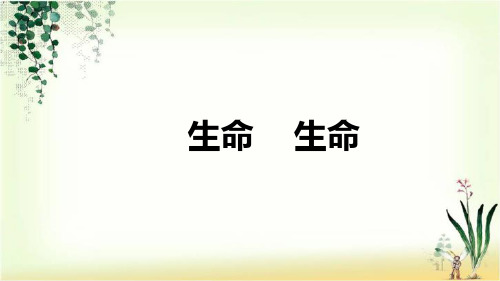 人教新课标四年级下册语文18.生命生命课件