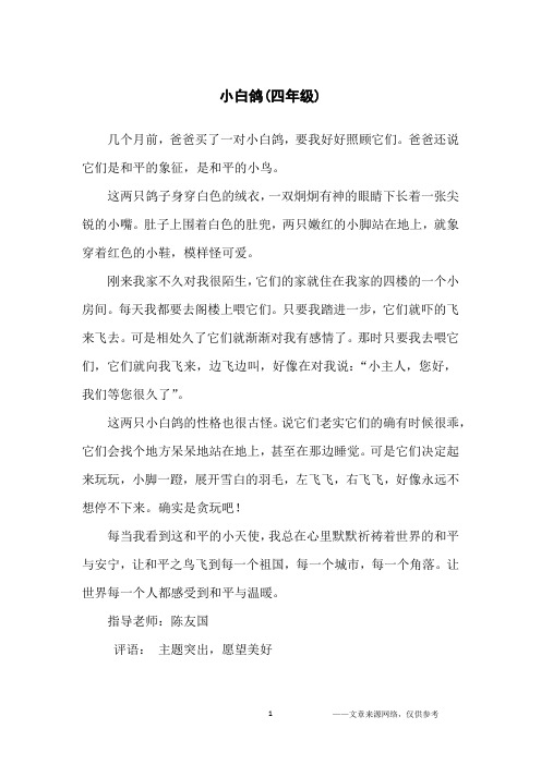 小白鸽(四年级)_小学生