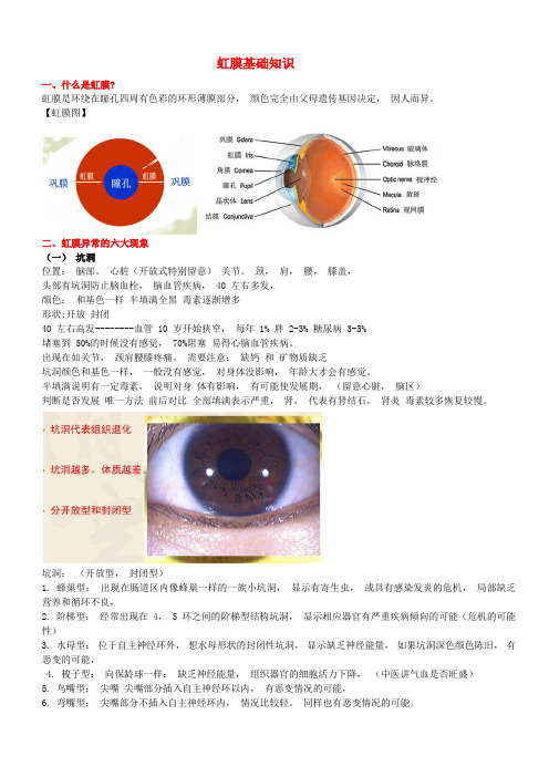 虹膜基础知识资料