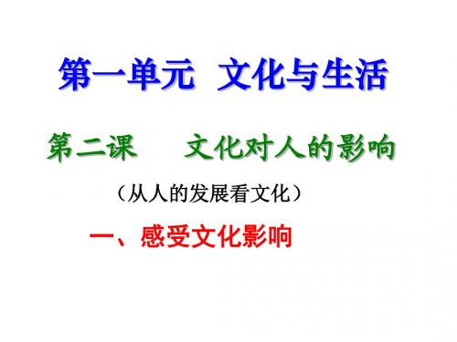 2.1、感受文化影响