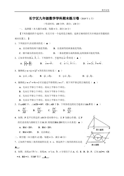 上海市长宁区2019年中考一模(即期末)数学试题及答案