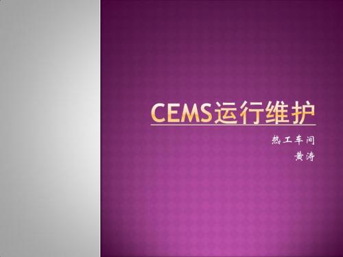 CEMS烟气分析仪运行维护资料