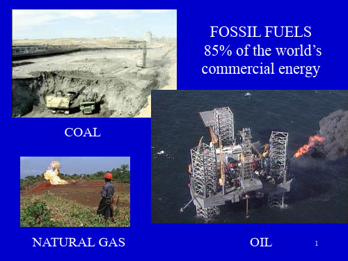 世界化石能源使用情况ppt课件