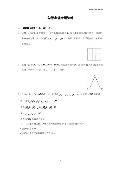 勾股定理专题训练及含答案