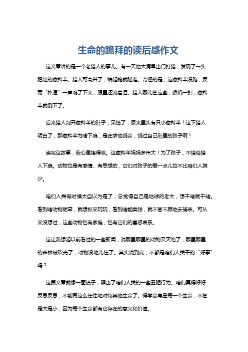 生命的跪拜的读后感作文