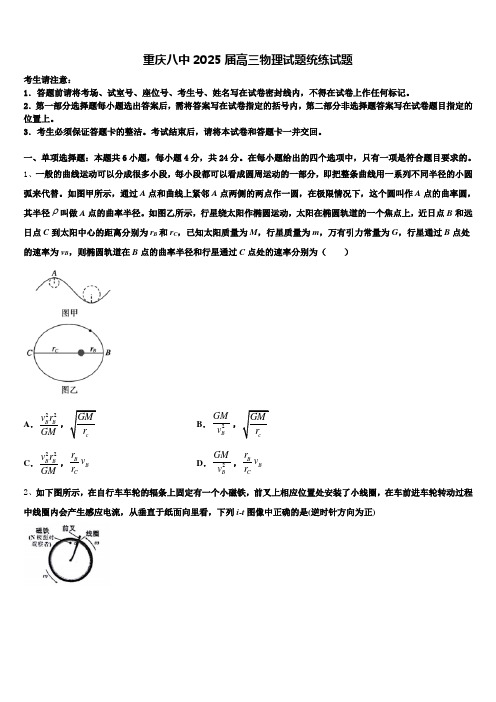 重庆八中2025届高三物理试题统练试题含解析