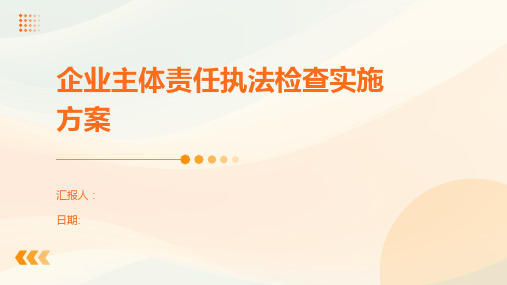 企业主体责任执法检查实施方案