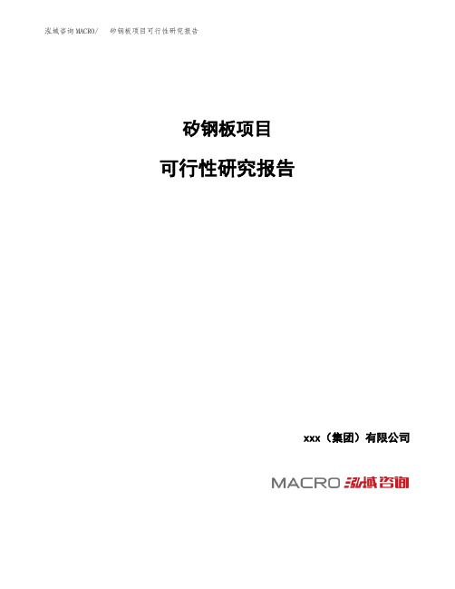 立项备案矽钢板项目可行性研究报告