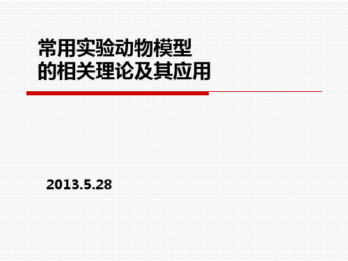 常用实验动物模型模板PPT课件