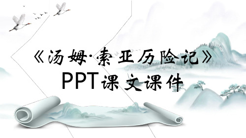 《汤姆·索亚历险记》PPT课文课件