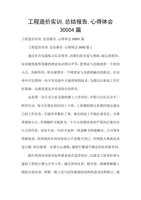 工程造价实训,总结报告,心得体会30004篇