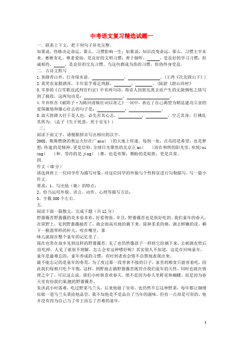 吉林市中考语文 精选试题复习一(无答案)