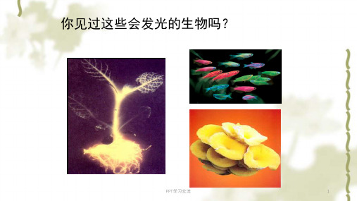 生物2现代生物技术北师大版八年级下课件