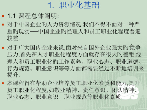 职业化基础专业知识讲座