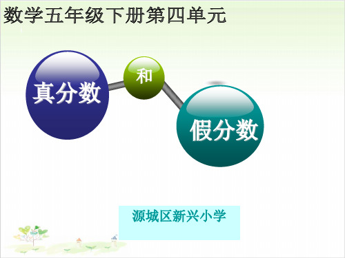 新人教版《真分数和假分数》精美版PPT课件1